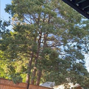 Meet your Posher, Gurjit